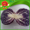 Organic Certified Purple Cabbage high quality cabbage